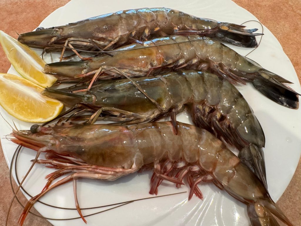 Frische rohe Wildfang Gambas mit Zitrone serviert im italienischen Restaurant Roma